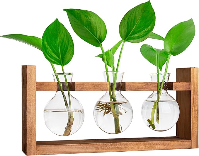 Plant Propagation Station,Plant Terrarium,Plant Starter,Gifts for Plant Lovers,Glass Bulb Terrarium with Retro Solid Wooden Stand for Hydroponics Plants Home Garden Wedding Décor (3 Bulbs)