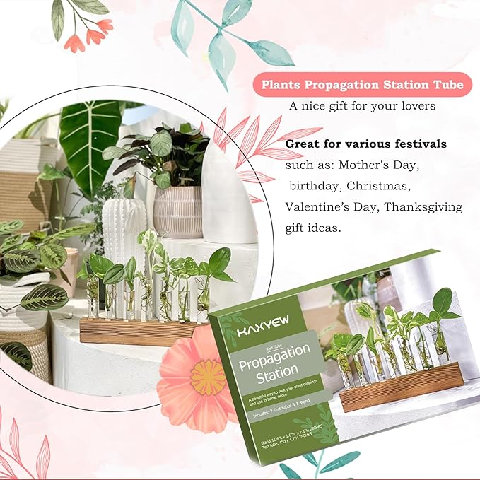 KAXYEW Plant Terrarium with Wooden Stand, Plant Propagation Tubes, 7 Test Tubes Glass Planter for Hydroponic Plant Cuttings Home Office Décor