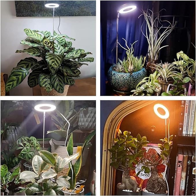 Plant Grow Lights, Full Spectrum Grow Lights for Indoor Plants, Height Adjustable Grow Lamp with Base, 3 Optional Spectrums, 3/9/12Hrs, 10 Brightness, Ideal for Small Plants, 1 Pack