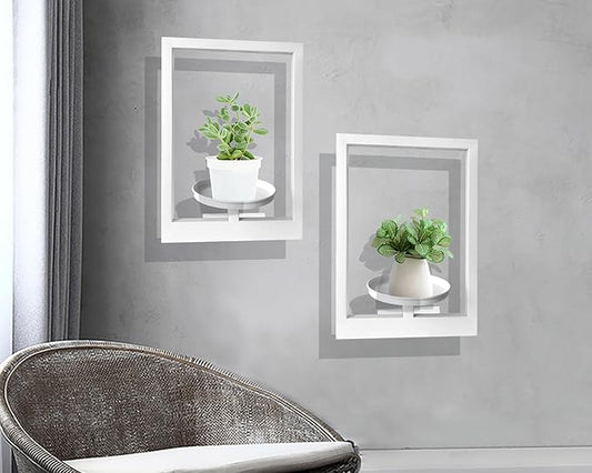 Picture Frame Plant Holder, Wall Mount Plants shelf Indoor Outdoor, Metal Hanging Planters Stand Decor, Window Planter Hanger Shelves, Modern Floating Ornament Rack Art for Home & Garden((White 2pc))