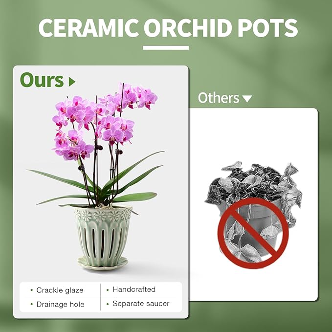 5" Ceramic Orchid Pots with Holes | Crackle Glazed Orchid Pot with Drainage and Separate Saucer | Ideal Plant Pot for Repotting Orchids and Other Flowers(Green)