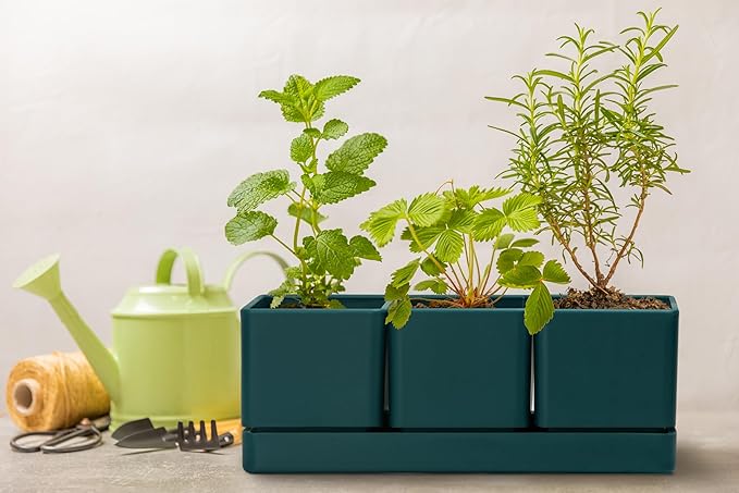 D'vine Dev Herb Garden Planter Set, Plastic Plant Pots with Drainage and Saucer, Indoor Succulent Cactus Vegetable Pot for Windowsill, Garden Balcony, Green, Set of 2, 76-V-C-2