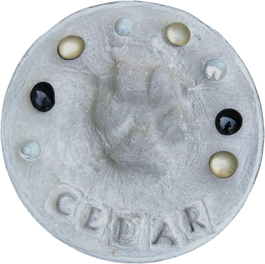 DIY Paw Print Stepping Stone Kit, Pet Memorial Stone, Pet Garden Stone (8 Inch + Stamp Set)