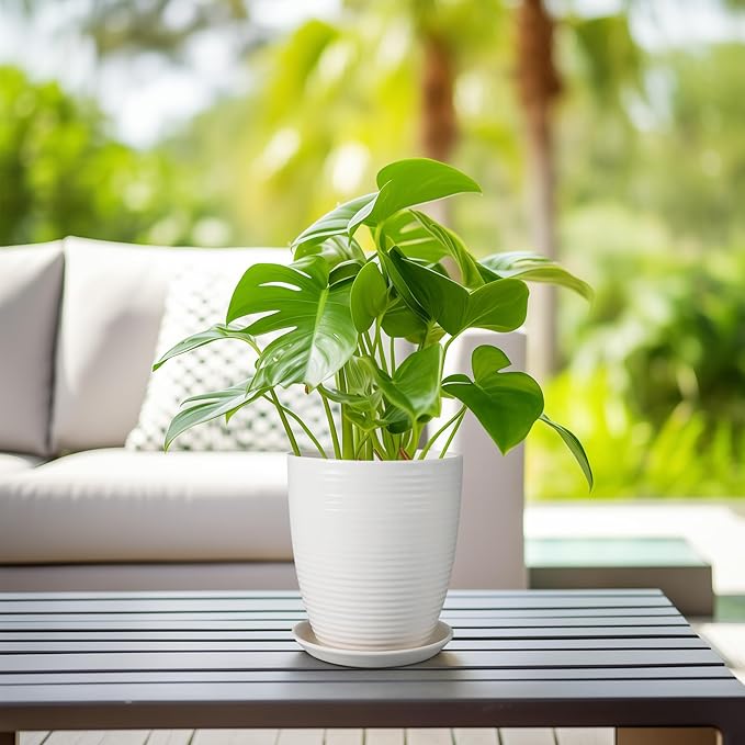 8 Inch Ceramic Planter Pot Round Plant Pot with Drainage Hole and Saucer Modern Flower Pot for Indoor Outdoor Plants White