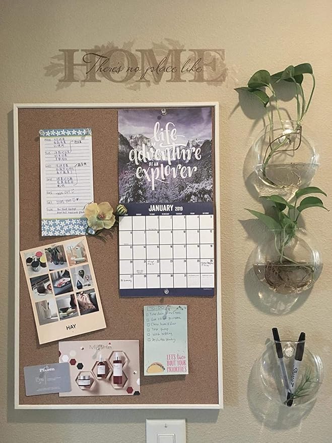 Mkono Wall Hanging Glass Terrariums Planter Oblate Flower Vase for Hydroponics Plants, Bathroom, Home Office Living Room Decor, Set of 6