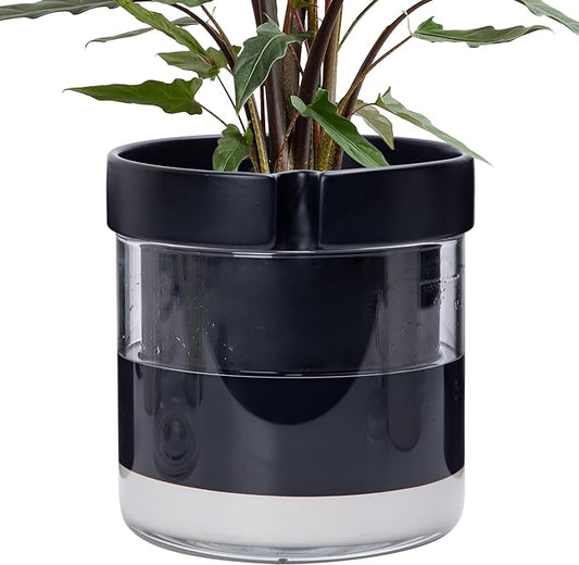 Phoenix Vine 8 Inch Self Watering Terracotta Planter, Black Terracotta Clay Pot with Glass Reservoir for Indoor Plants, Herbs, Flowers, Set of 1, 52-C-H-1