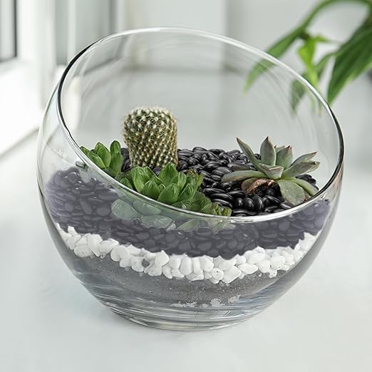 2.5 lbs Black Pebbles for Indoor Plants, Succulent, Bamboo, Vase, 3/8" Plant Rocks for Pots Indoor, Small River Rocks Decorative Pea Gravel, Highly Polished