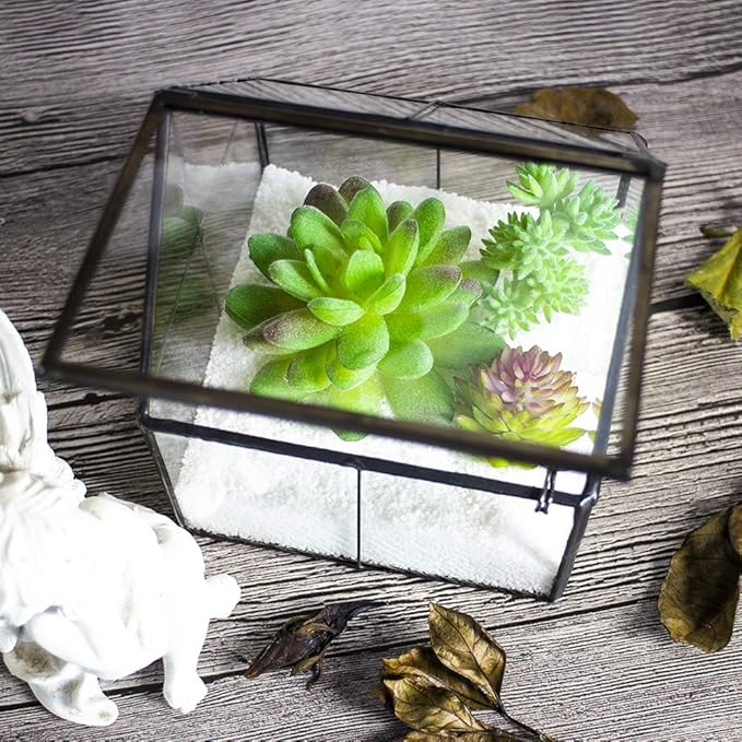 Ferrisland Glass Plant Terrarium Container Wardian Case Indoor Small Succulent Terrarium Planter w/Door for Tabletop Decor DIY - 5.0"x4.3"x4.3"
