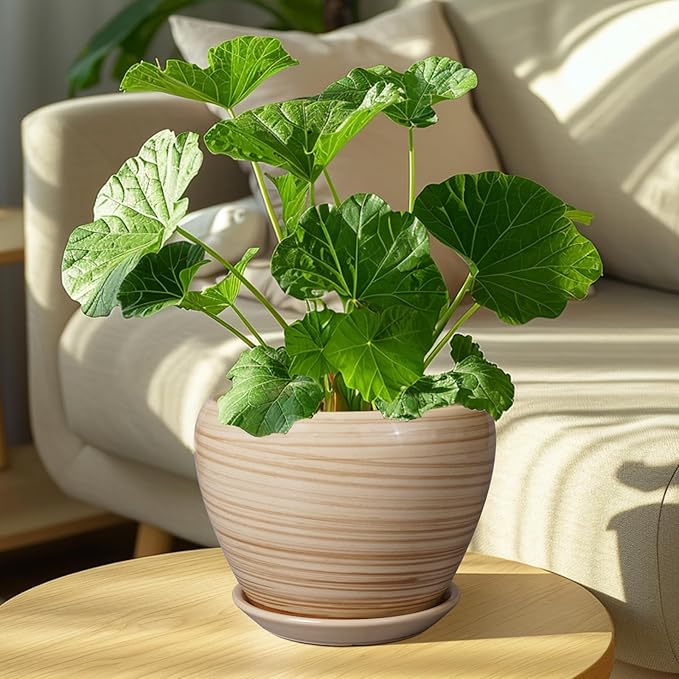 Planter 8 Inch - Indoor/Outdoor Ceramic Plant Pot With Drainage Hole and Saucer, Round Modern Flower Planter for Succulents, House, Patio - Yellow