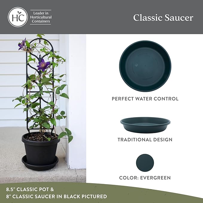 The HC Companies Flower Pot Saucers - Plastic Plant Saucer for Outdoors & Indoors - Traditional Design Plant Pot Trays for Water Drainage - Durable & Stylish Round Plant Tray (8-inch Evergreen)