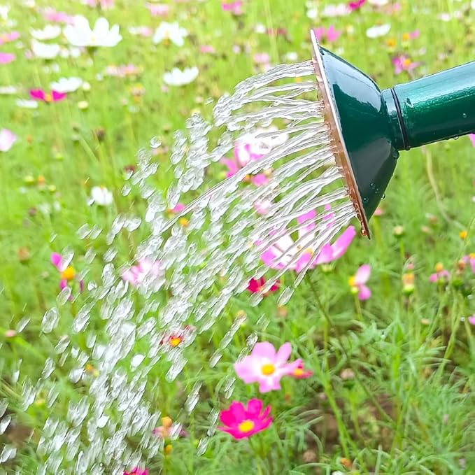 Metal Watering Can for Outdoor and Indoor Plants, Watering Can Decor, 1 Gallon (NewGreen)