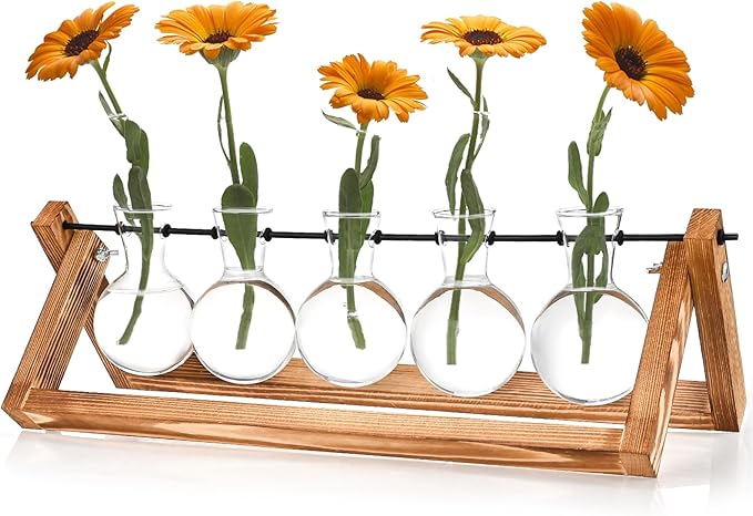 Retro Wood Stand Plant Terrarium with 5 Air Planter Bulb Glass Vases, Perfect for Home, Office, or Wedding Decor. Great Desktop Propagation Station and Plant Lover Gift for Women (5 Bulb Vase)
