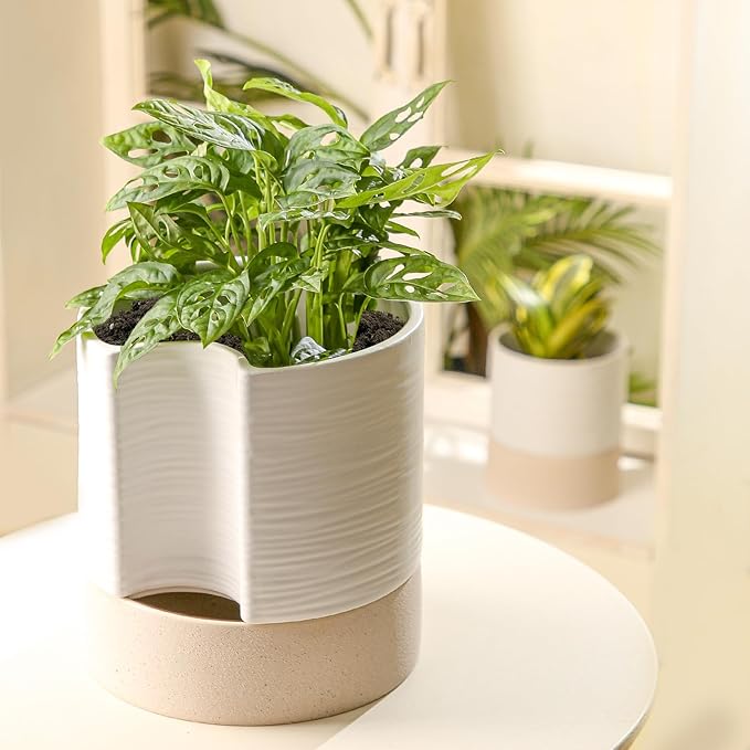 Nihow Self Watering Plant Pot: 8 Inch Ceramic Planter with Drainage Hole & Water Storage Plus for Indoor & Outdoor Plants - Cylinder Round Flower Pot for Succulent/Herbs/Violets - White & Brown