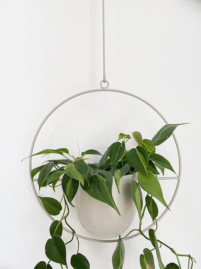 Boho White Metal Plant Hanger,Metal Wall and Ceiling Hanging Planter, Modern Planter, Mid Century Flower Pot Plant Holder, Minimalist Planter for Indoor Outdoor Home Decor…