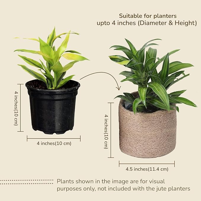 Jute Planter Basket-Woven Jute Rope Covers for Decorating Indoor/Outdoor Succulents, Small Plant Pots-Set of 3-Multi-Purpose Storage Bins 4.5 Inches -Modern Style Decor -Natural Jute