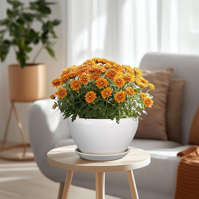 Ceramic Planter - 9 Inch Plant Pot Indoor with Drainage Hole and Saucer for Outdoor Plants Mid-Century Round Planter Modern Flower Pot for House Garden White