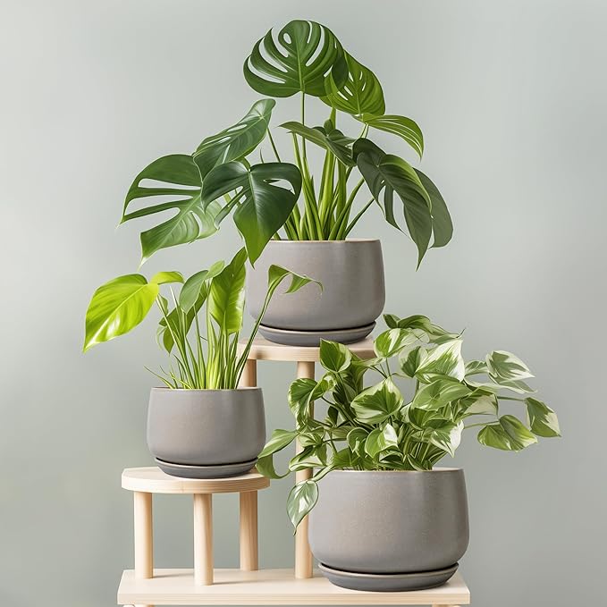 G EPGardening Ceramic Plant Pots - Round 6 Inch Modern Planter with Drainage and Plant Saucer Indoor Outdoor for Flower, Garden Decor, Gifts for Home, Retro Gray