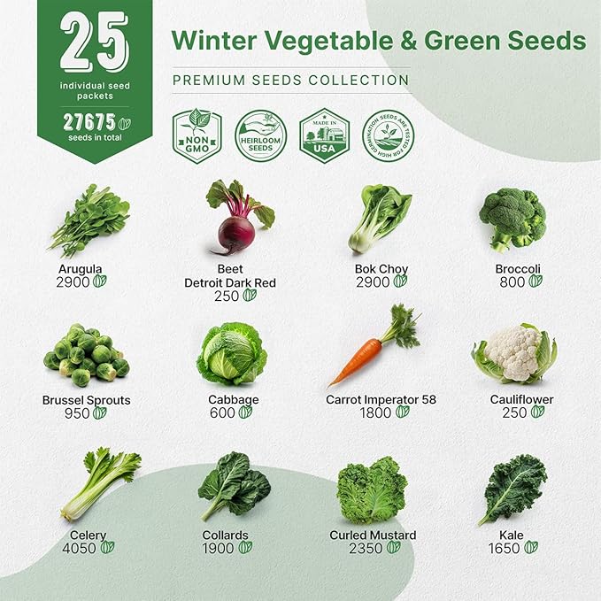 Organo Republic 25 Winter Vegetable Garden Seeds Variety Pack for Outdoors & Indoor Home Gardening 6500+ Non-GMO Heirloom Seeds: Broccoli Beet Carrot Collard Lettuce Radish Spinach Pea Kohlrabi