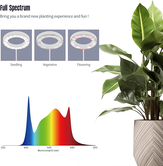 GLOWRIUM Indoor Grow Light, 20 Watt Full Spectrum LED Plant Growth Light with Stand, Adjustable Height with Timer 3/9/12 hrs, White LED Plant Lamp