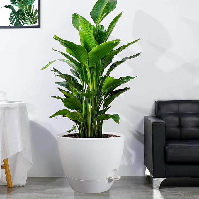 12inch Self Watering Pots, Plastic Planters with Mesh Drainage Holes and Deep Reservoir for Indoor Outdoor Garden Plants and Flowers, White