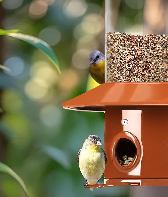 Squirrel Proof Bird Feeder for Outdoor, Gravity Sense Squirrel Proof Wild Bird Feeders for Finch Cardinal Chickadee, 4.8LB Large Capacity Hanging Birdfeeder