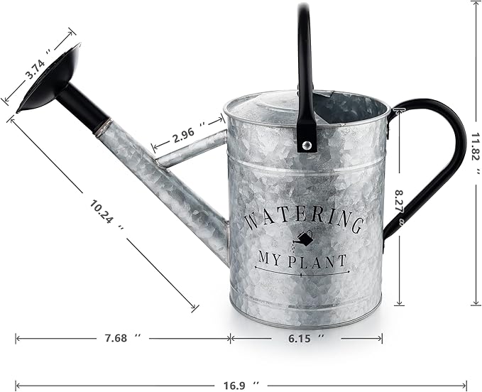Galvanized Watering Can for Outdoor Indoor Plants, 1 Gallon Decorative Countryside Style Water Can with Removable Spout, Perfect Metal Watering Can for Indoor Plants and Garden Flower