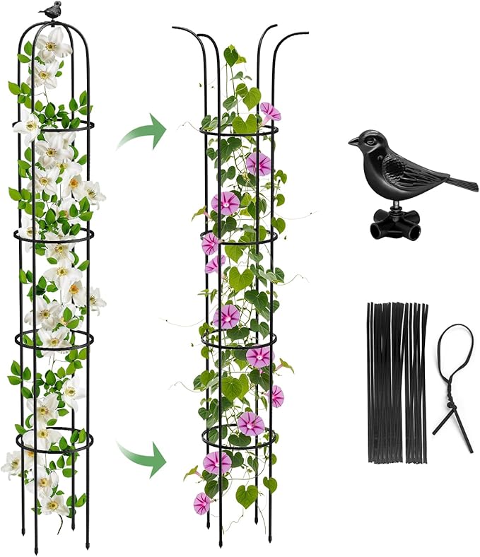 Garden Obelisk Trellis for Climbing Plants Outdoor 6.2 Ft Rose Bush Round Trellis for Pots Rustproof Metal Plant Flower Trellises for Clematis Vine Jasmine Support Outdoor Indoor (Black, 6.2ft)