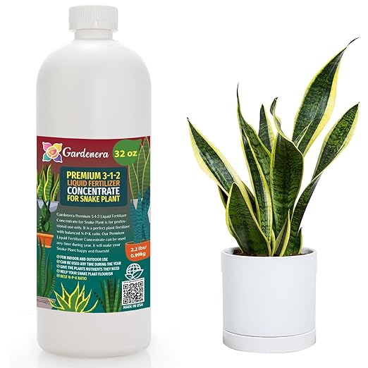 Premium Liquid Snake Plant Fertilizer - 3-1-2 Concentrate for Indoor Plants and Flowers by Gardenera | Organic Plant Food for Snake Plants - 32oz