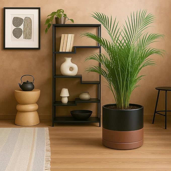 D'vine Dev 12 Inch Ceramic Planter Pot with Drainage Hole and Saucer, Indoor Cylinder Round Planter Pot, Black/Speckled Tan, 94-O-F-7