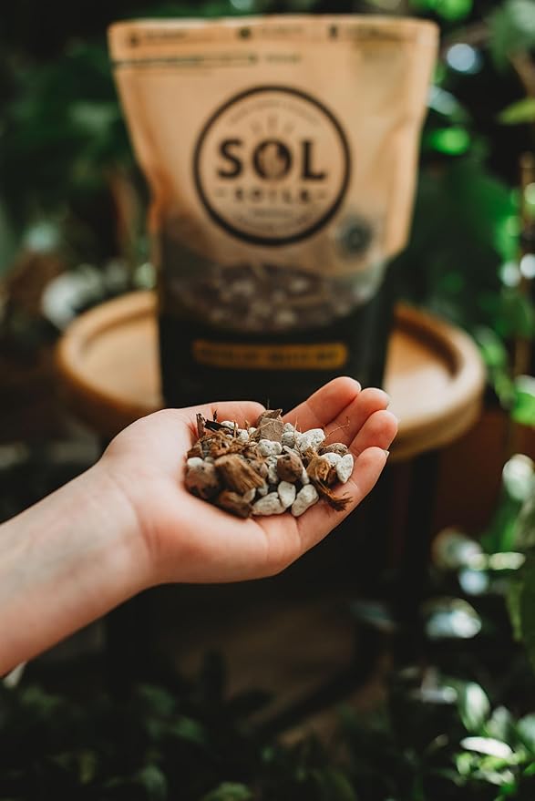 Sol Soils Succulent Gritty Mix 2 Quarts - Fast Draining Peat Moss Free Succulent Soil Potting Mix with Coconut Husk Chips, Perlite & Pumice