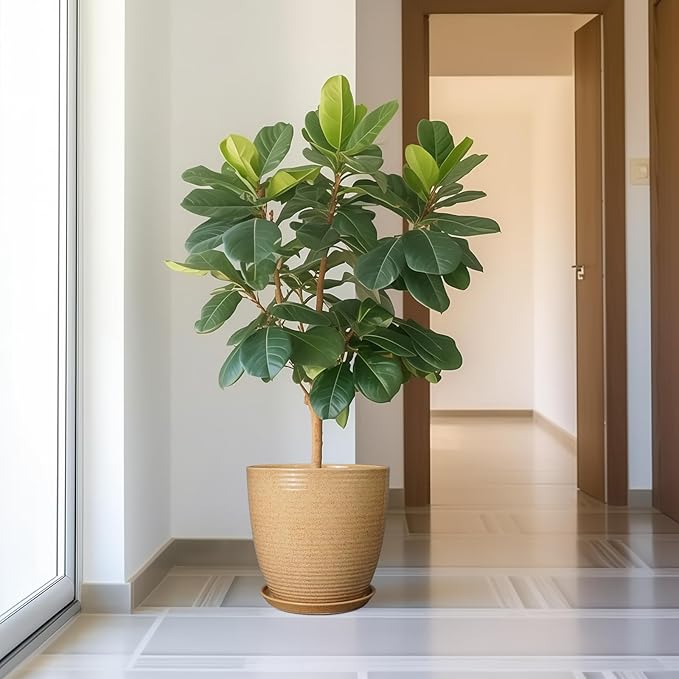 Ceramic Plant Pot 12 Inch - Large Planter for Indoor Plants Outdoor Flower Pot with Drainage Hole and Saucer Round Decorative Planter for Home Patio Garden Balcony Yellow