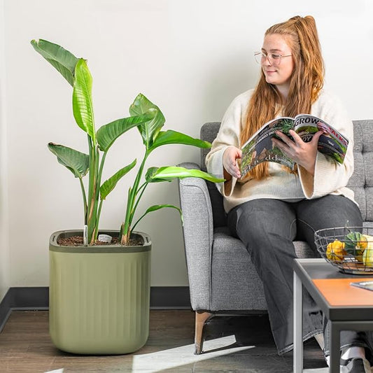 Vego garden Self Watering Pots Home Planters with Water Gauge for Effortless Indoor Plants Sage Green