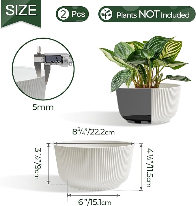 T4U Plant Pots 8 Inch, 2 Pack Self Watering Indoor Planter with Drainage Hole, Shallow Plant Pot, Home Decor Flower Pots for Plants, Herbs, Garden, White