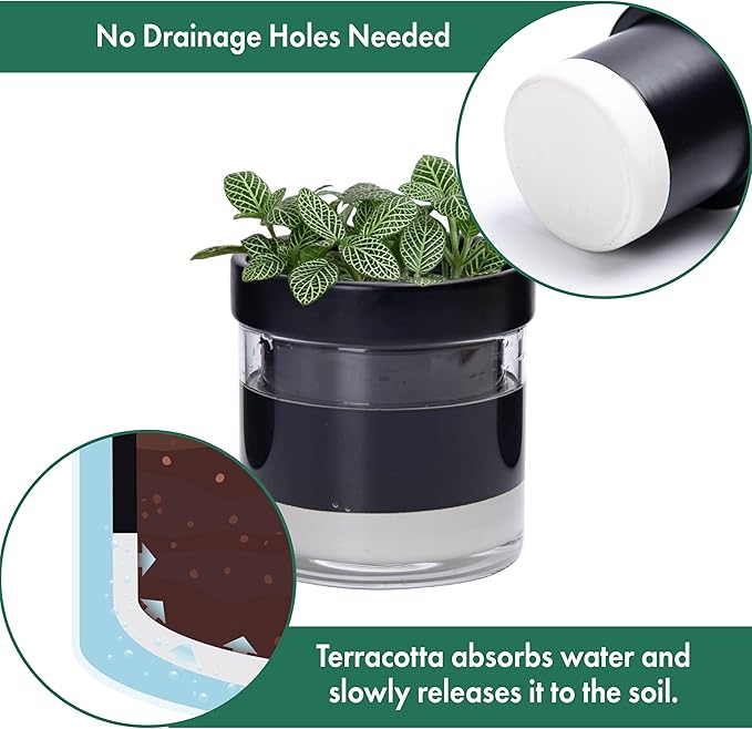 Phoenix Vine 4 Inch Self Watering Terracotta Planter, Black Terracotta Clay Pot with Glass Reservoir for Indoor Plants, Herbs, Flowers, Set of 1, 52-C-E-1