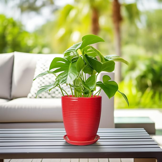Ceramic Pot for Plants - 8 Inch Plant Pot for Indoor Plants Outdoor Round Planter Modern Flower Pot with Drainage Hole and Saucer Home Garden Office Porch Decor Red