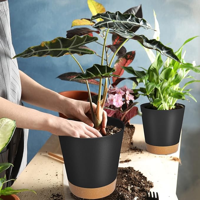 GARDIFE Plant Pots 7/6.5/6/5.5/5 Inch Self Watering Planters with Drainage Hole, Plastic Flower Pots, Nursery Planting Pot for All House Plants, African Violet, Flowers, and Cactus,Black