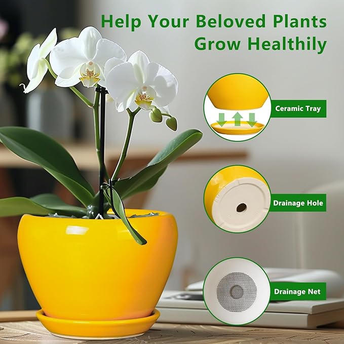 Ceramic Planter - 10 Inch Plant Pot for Indoor Outdoor Plants Glaze Modern Round Planter with Drainage Hole and Saucer for Garden Office Home Room Patio Decor, Yellow