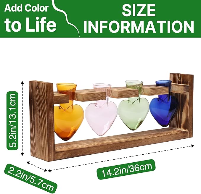 Plant Propagation Stations Heart Plant Terrarium Kit Gift for Women Plant Lover Glass Vases