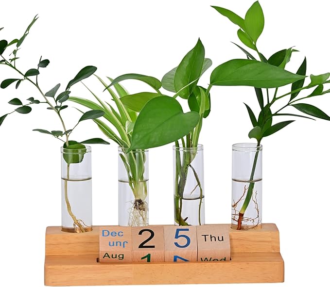 Propagation Vases for Plants, with Block Calendar for Desk, for Home and Desk Decor, Perfect Gardening Gifts for Women, Mom, Teacher, Horticulturist (Dark Wood Color)