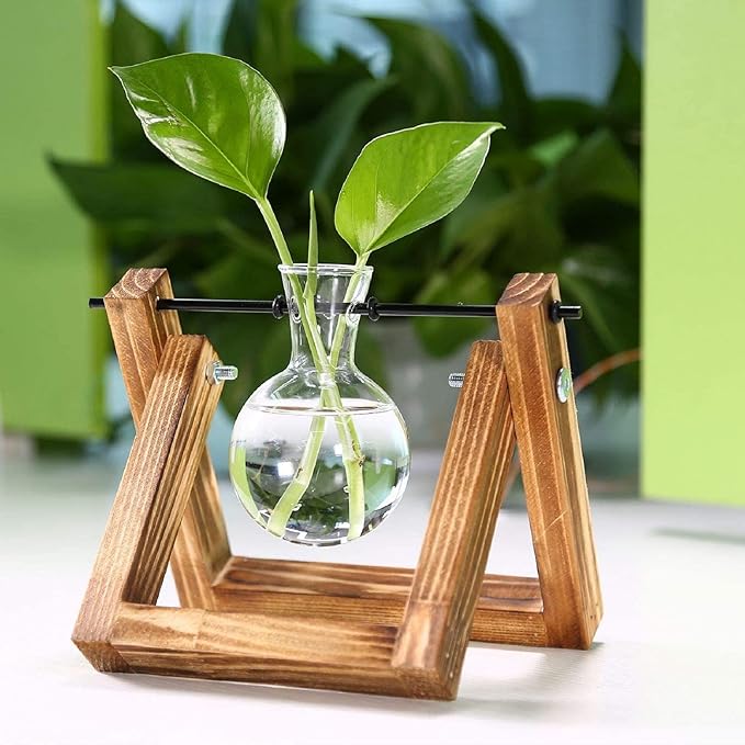 Kingbuy Plant Propagation Station Air Plant Terrarium Bulb Vase with Wooden Swivel Holder Desktop Glass Planter for Indoor Water Plants Home Office Tabletop Decor - 1 Bulb Vase