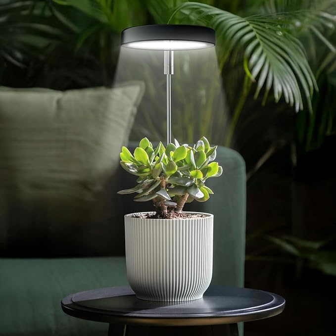 Grow Lights for Indoor Plants Small Potted - Full Spectrum, Auto 3/9/12H Timer, 10-Level Dimming & Adjustable Height - Compact Grow Light for Succulents, Herbs, Foliage in Home/Office (Black,1PACK)