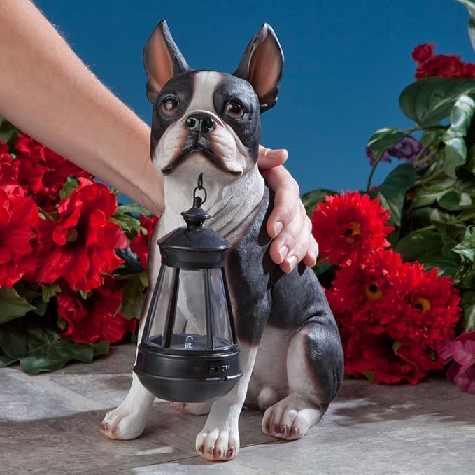Bits and Pieces - Boston Terrier Solar Lantern Statue - Yard Decorations - Solar Powered Garden Lantern - Resin Dog Sculpture - Outdoor LED Lighting