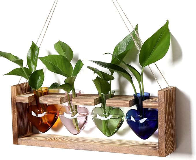 Plant Propagation Stations Heart Plant Terrarium Kit Gift for Women Plant Lover Glass Vases