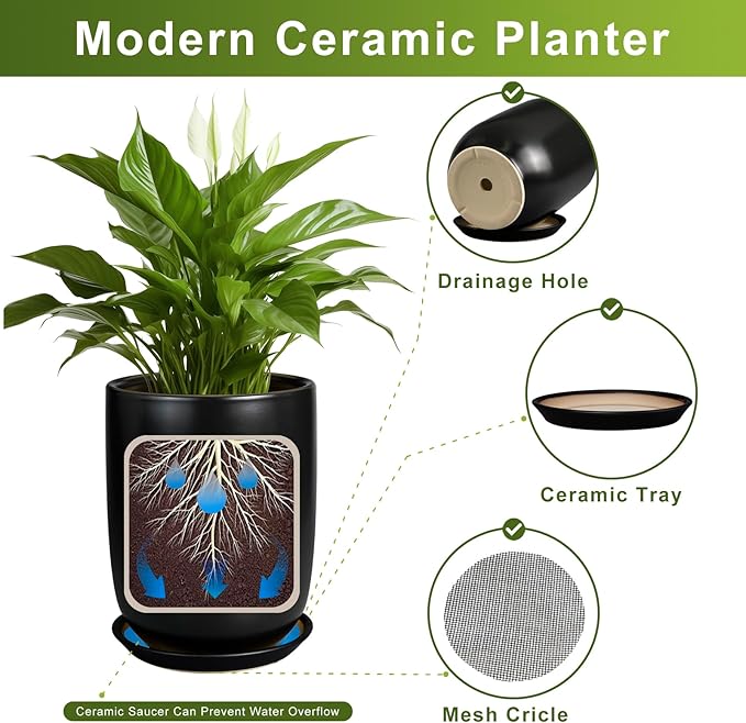 Ceramic Planter 8 Inch - Plant Pot for Indoor Outdoor Plants Cylinder Flower Pot with Drainage Hole and Saucer Black