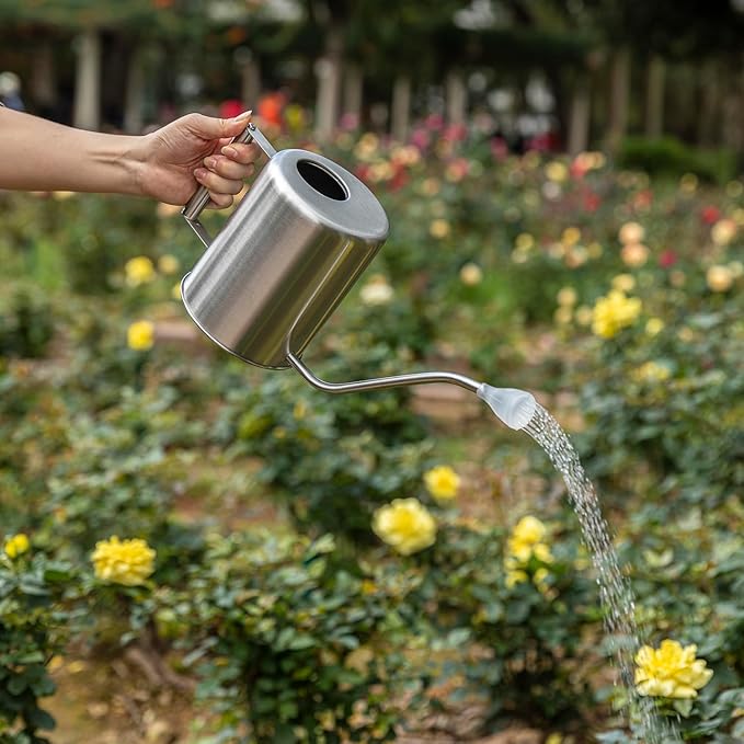 L&H Unico Watering Cans 62oz Plant Misters Steel Sprinkling Cans with 2Pcs Removable Spray Spout for Flowers
