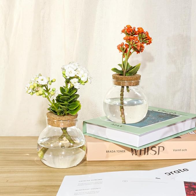 Plant Propagation Station,Hydroponic Terrarium Vase,Desktop Glass Planter Station,for Houses,Garden Decorations,ropagating Hydroponic Plants,Centerpiece Office,Home Garden Decor (9)