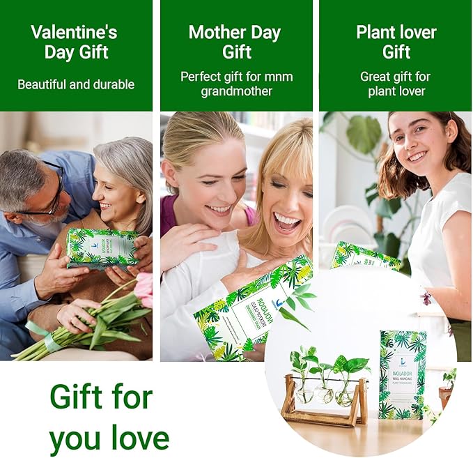 Ivolador I Plant Propagation Station, Bulb Plant Terrarium with Wooden Stand, Unique Gardening Gifts for Women, Hydroponic Indoor Planter, Home Office Garden Wedding Decor - 3 Bulb Glass Vases