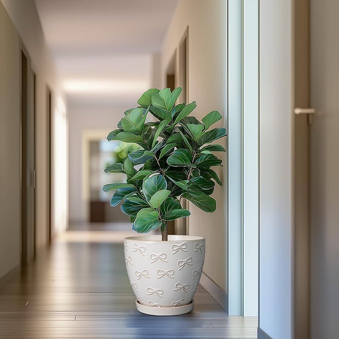 Pots for Plants 10 Inch - Ceramic Planter Large Plant Pot for Indoor Plants Outdoor Round Flower Pot with Drainage Hole and Saucer Home Garden Decor White