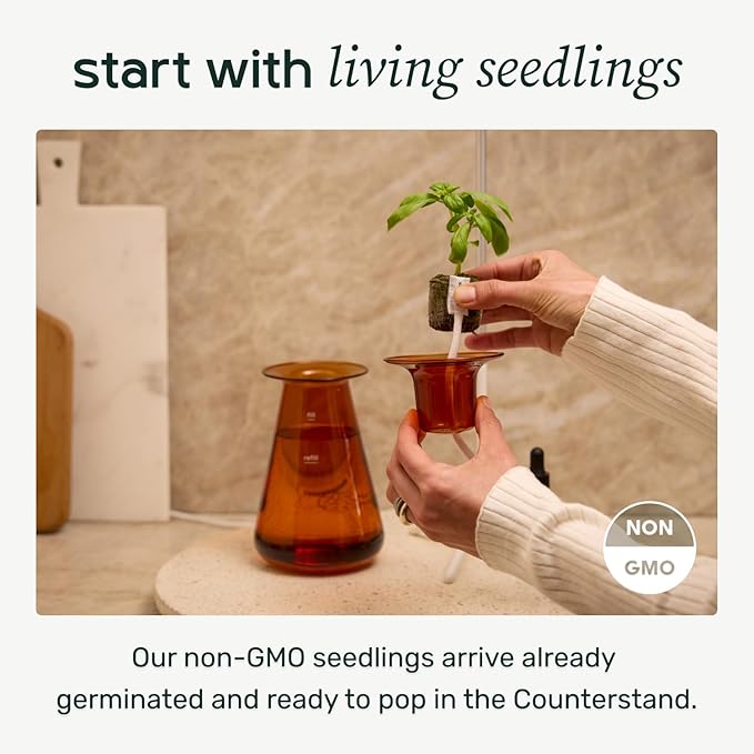 Counterstand Set – Vase Plant for Indoor Edible Garden Kit for Herbs & Lettuce – Small-Space Hydroponic System – Home Decor & Gifting – with Live Plants