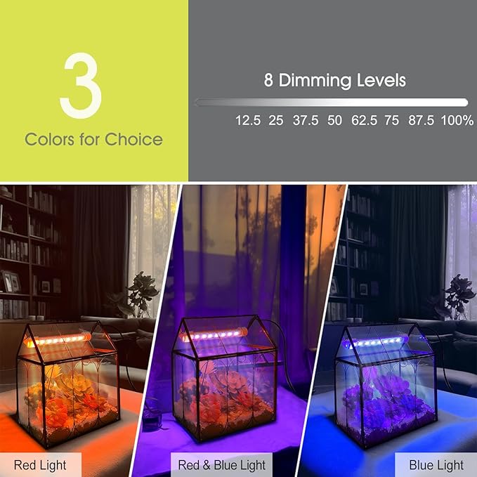 Plant Terrarium with Grow Light, Rifny Indoor House Shape Glass Terrarium Kit with Lid, Small Terrarium Jar Planter for Venus Fly Trap Succulent Live Air Plants Decor for Home Office (Without Plants)